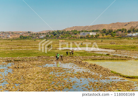 People in Madagascar suffer of poverty 118008169