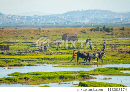 cityscape, Tana, capital of Madagascar Poor capital Madagascar. Arial view 118008174