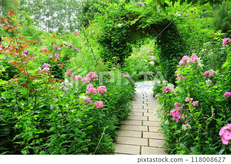 Ueno Farm in early summer: Flowers in full bloom Ueno Farm in early summer: Flowers in full bloom 118008627