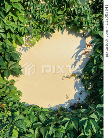 space for inscription with green leaves around the edges 118008641