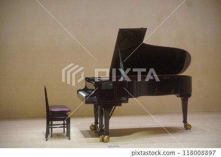 音樂會舞台上的大鋼琴 118008897