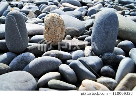 Pebbles of different colors on a rocky beach. 118009323