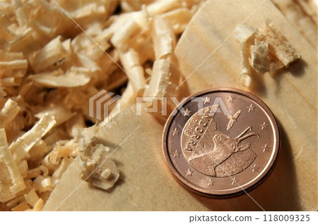 A new coin in the carpenter's workshop. A rare eurozone coin. Andorra 1 euro cent. A new coin in the carpenter's workshop. A rare eurozone coin. Andorra 1 euro cent. 118009325