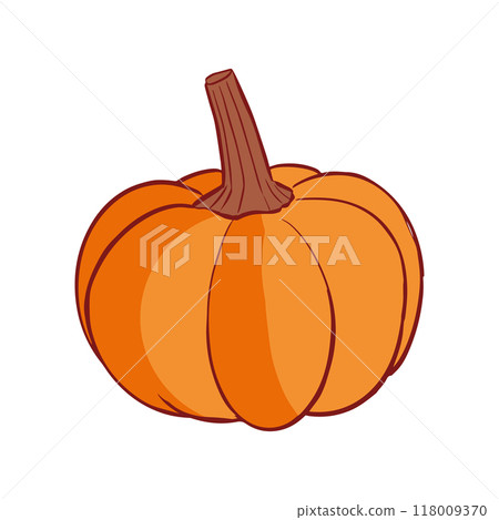 Ripe orange pumpkin isolated on white background. Cucurbita pepo. Fall harvest gourds. Healthy organic food concept. 118009370