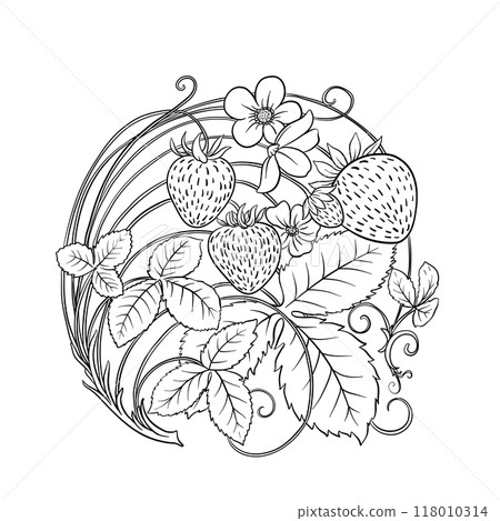 Strawberry. Branch with berries, leaves and flowers 118010314