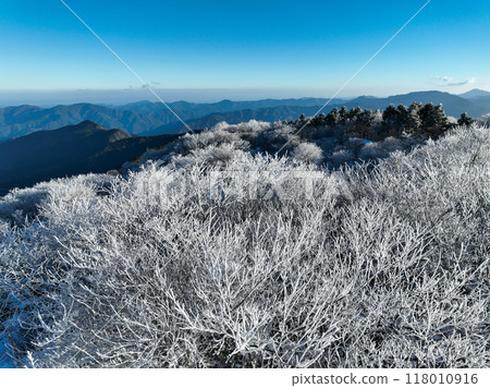 高知縣仁澱川町中津明神山山頂附近的隆冬景色 118010916