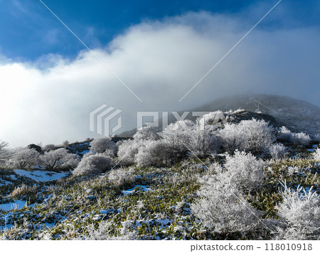 高知縣仁澱川町中津明神山山頂附近的隆冬景色 118010918