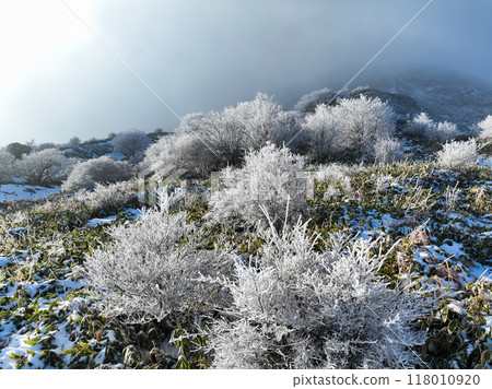 高知縣仁澱川町中津明神山山頂附近的隆冬景色 118010920