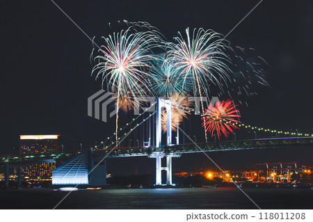 firework, fireworks, Fireworks Display 118011208