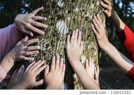 A diverse group of people is touching a tree with their hands gently A diverse group of people is touching a tree with their hands gently 118011281