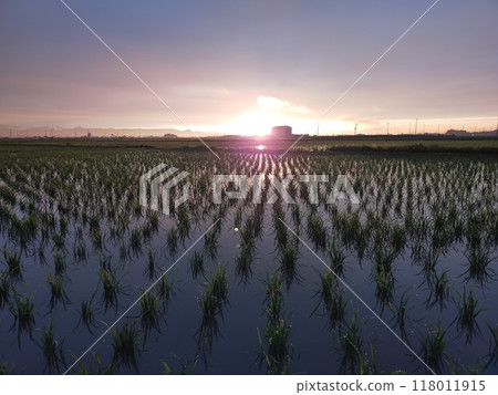 Setting sun 118011915