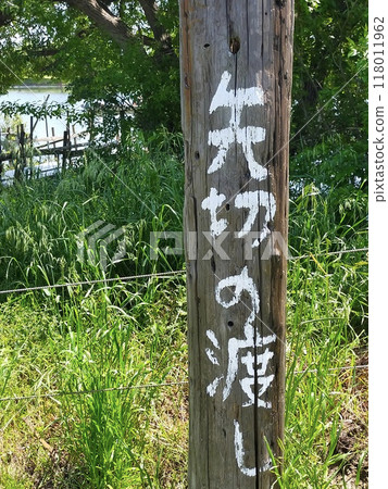 Passing arrows 118011962