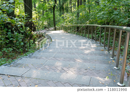 spiral abstract circle round architecture building forest stair down art design staircase 118011998