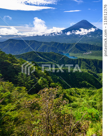 壯觀的夏季山景：從禦坂山脈看到藍天和富士山 118012376