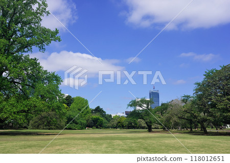 City park and sky City park and sky 118012651