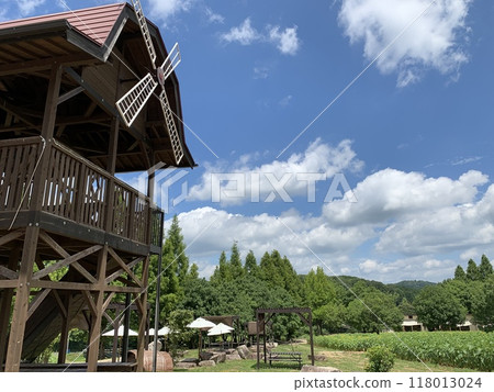 Windmill and farm landscape Windmill and farm landscape 118013024