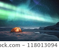 北極光與閃亮的銀河 118013094