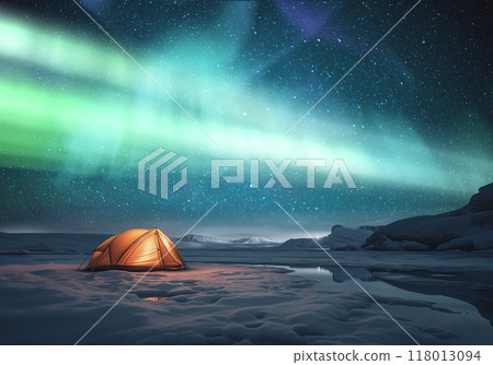 北極光與閃亮的銀河 118013094