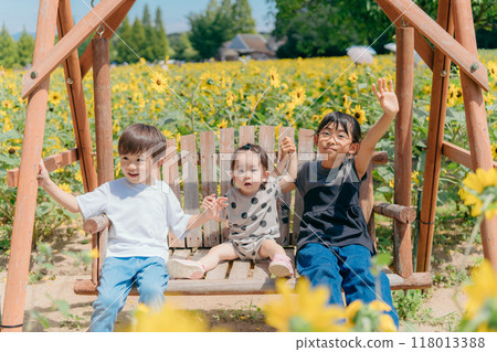 Sunflower field and children 118013388