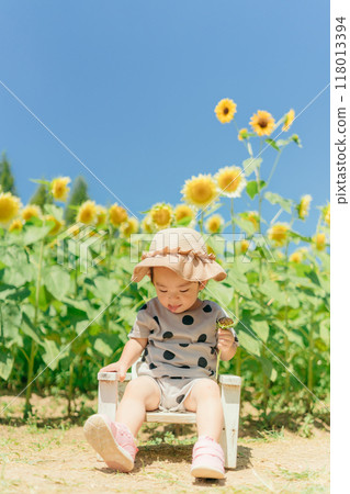 Sunflower field and children 118013394