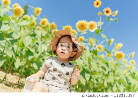 Sunflower field and children Sunflower field and children 118013397