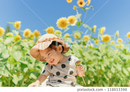 Sunflower field and children 118013398