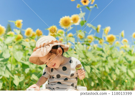 Sunflower field and children 118013399
