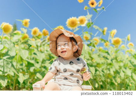 Sunflower field and children 118013402