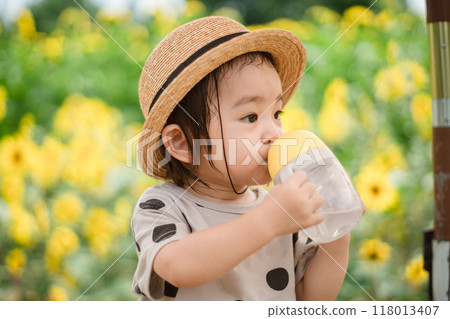 Sunflower field and children 118013407