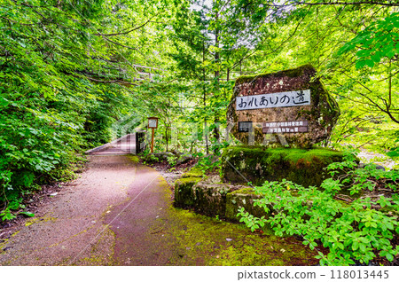 長野赤澤自然休養林 長野赤澤自然休養林 118013445