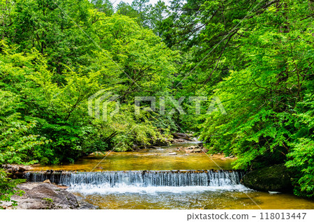長野赤澤自然休養林地堰 長野赤澤自然休養林地堰 118013447