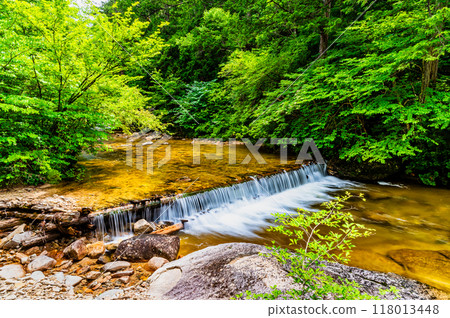 Nagano Akazawa Natural Recreation Forest Tokoseki 118013448