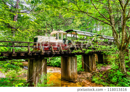 Nagano Akazawa Natural Recreation Forest Forest Railway 118013816