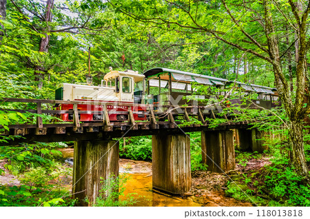 Nagano Akazawa Natural Recreation Forest Forest Railway 118013818