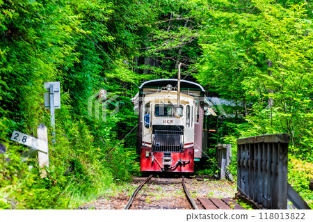 Nagano Akazawa Natural Recreation Forest Forest Railway 118013822