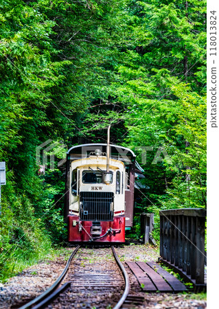 長野赤澤自然休養林森林鐵道 長野赤澤自然休養林森林鐵道 118013824