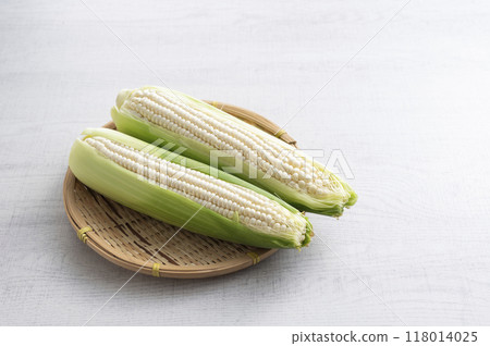 白玉米 白玉米 118014025
