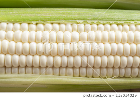 White corn 118014029