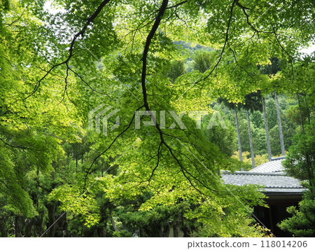 京都鬆山度假村日本花園 京都鬆山度假村日本花園 118014206