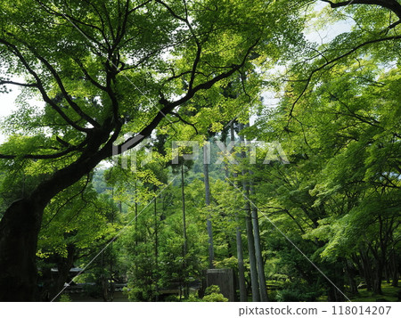 京都鬆山度假村日本花園 京都鬆山度假村日本花園 118014207