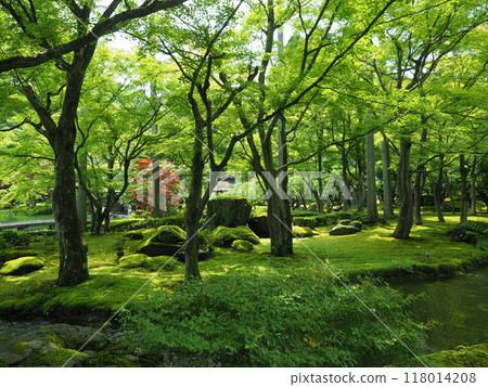 京都鬆山度假村日本花園 京都鬆山度假村日本花園 118014208