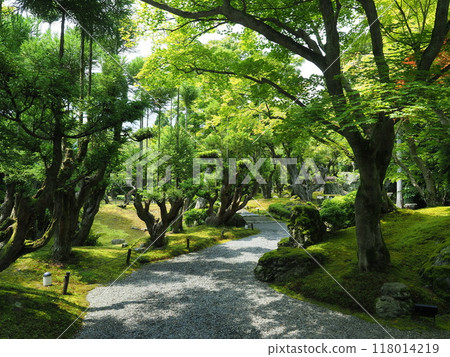 京都鬆山度假村日本花園 京都鬆山度假村日本花園 118014219