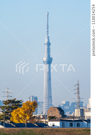 "Chiba Prefecture" View of downtown Tokyo from the Edogawa riverbed - Tokyo Skytree "Chiba Prefecture" View of downtown Tokyo from the Edogawa riverbed - Tokyo Skytree 118014254