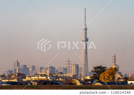 從千葉縣江戶川河床欣賞東京晴空塔的黃昏景色 118014346