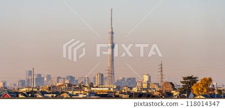 從千葉縣江戶川河床欣賞東京晴空塔的黃昏景色 118014347