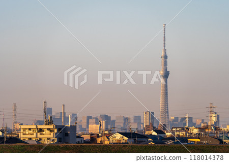 從千葉縣江戶川河床欣賞東京晴空塔的黃昏景色 118014378