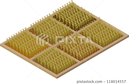 水稻收割前鄉村景觀等距影像素材 118014557