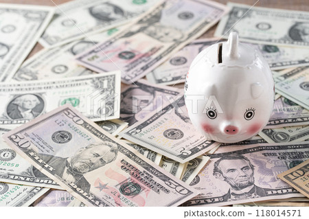US Dollar Image Piggy Bank 118014571