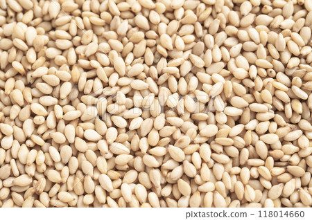 White sesame White sesame 118014660