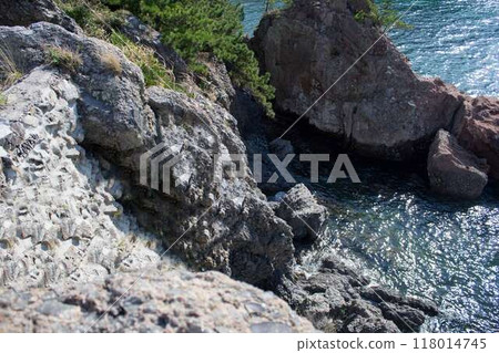 大分縣姬島黑曜石產地 大分縣姬島黑曜石產地 118014745